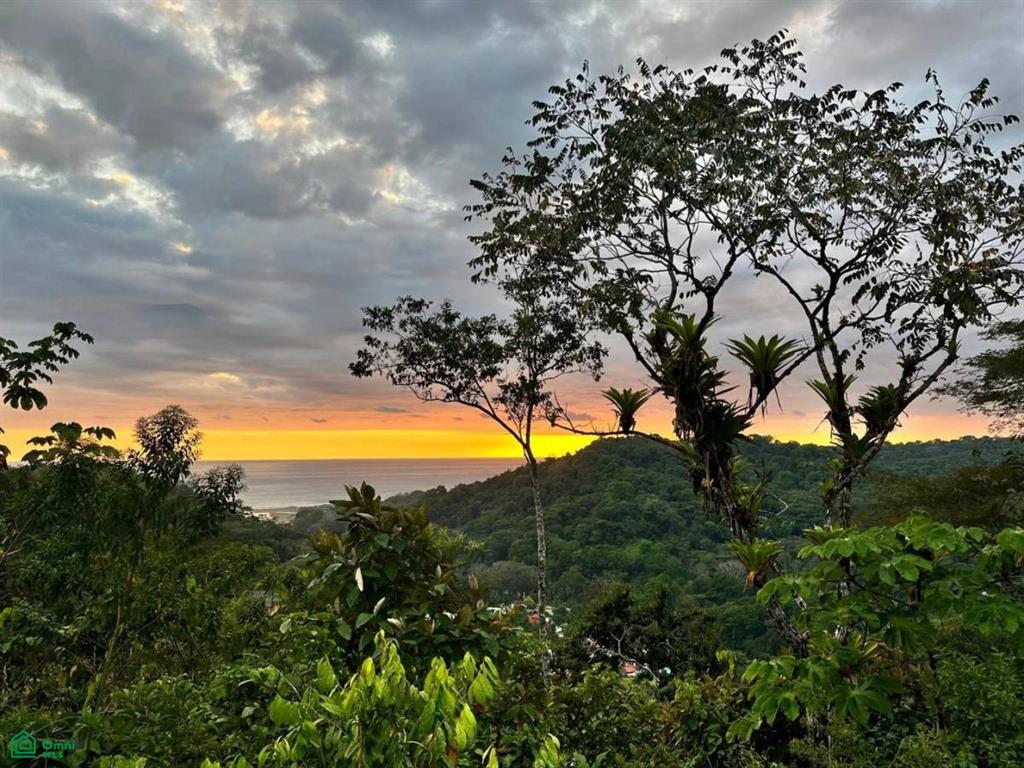 0 bed Land For Sale in Osa, Puntarenas - 1