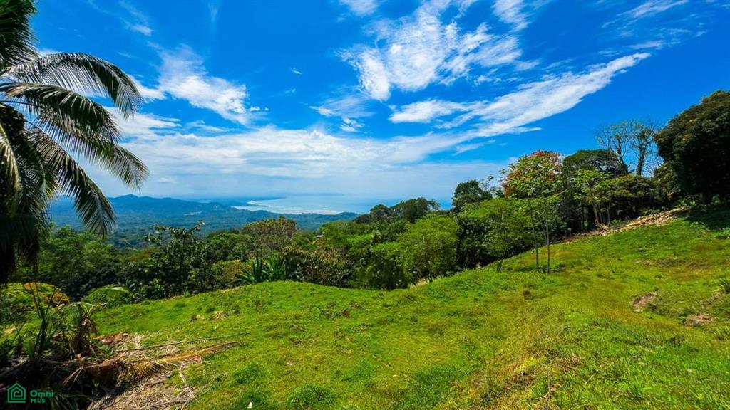 0 bed Land For Sale in Osa, Puntarenas - 1