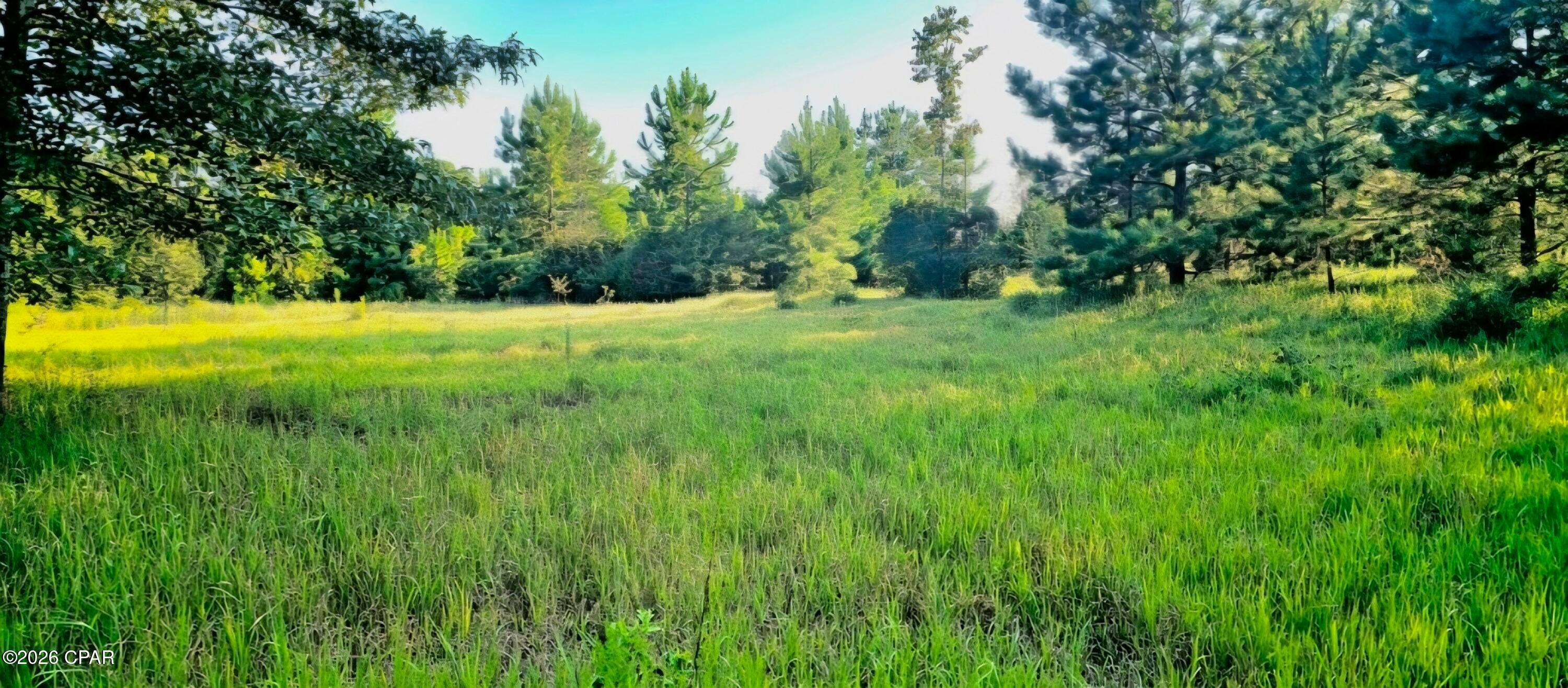 Details for Parcel B Hwy 177a, Bonifay, FL 32425