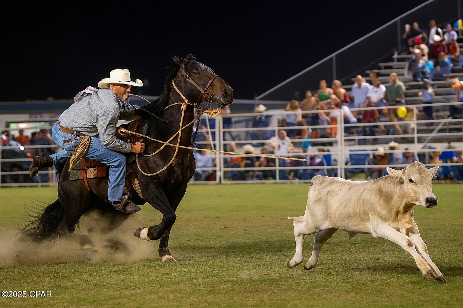 Listing photo id 11 for Parcel B Hwy 177a