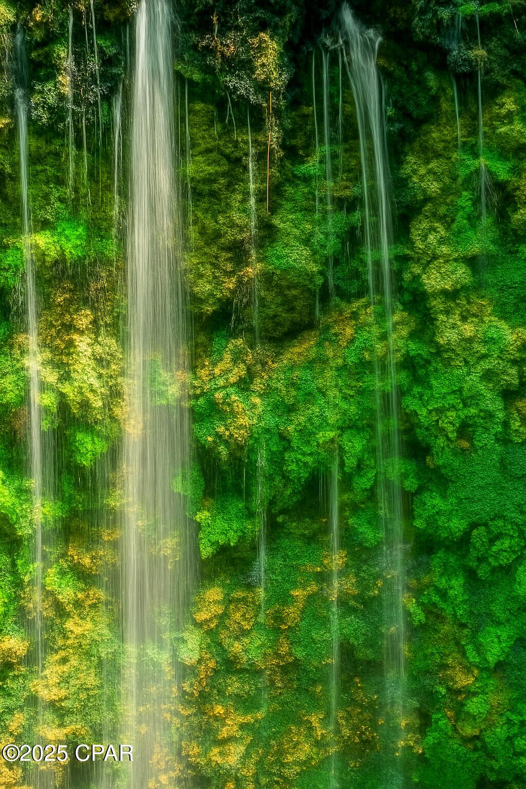 Image 12 For Parcel B Hwy 177a