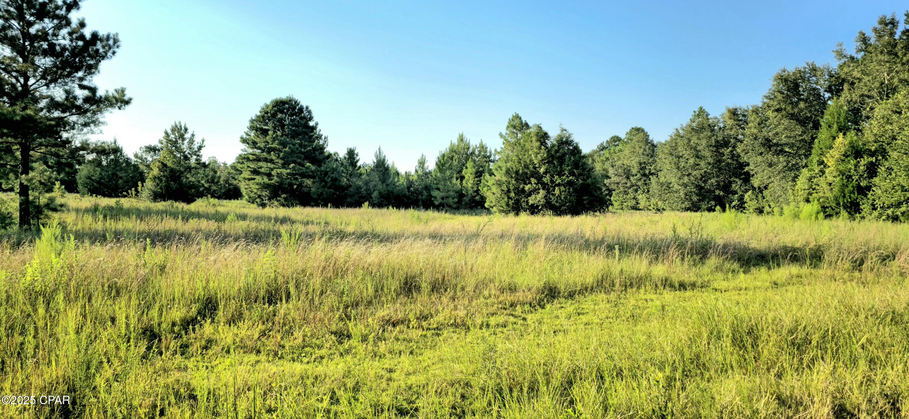 Listing photo id 2 for Parcel B Hwy 177a