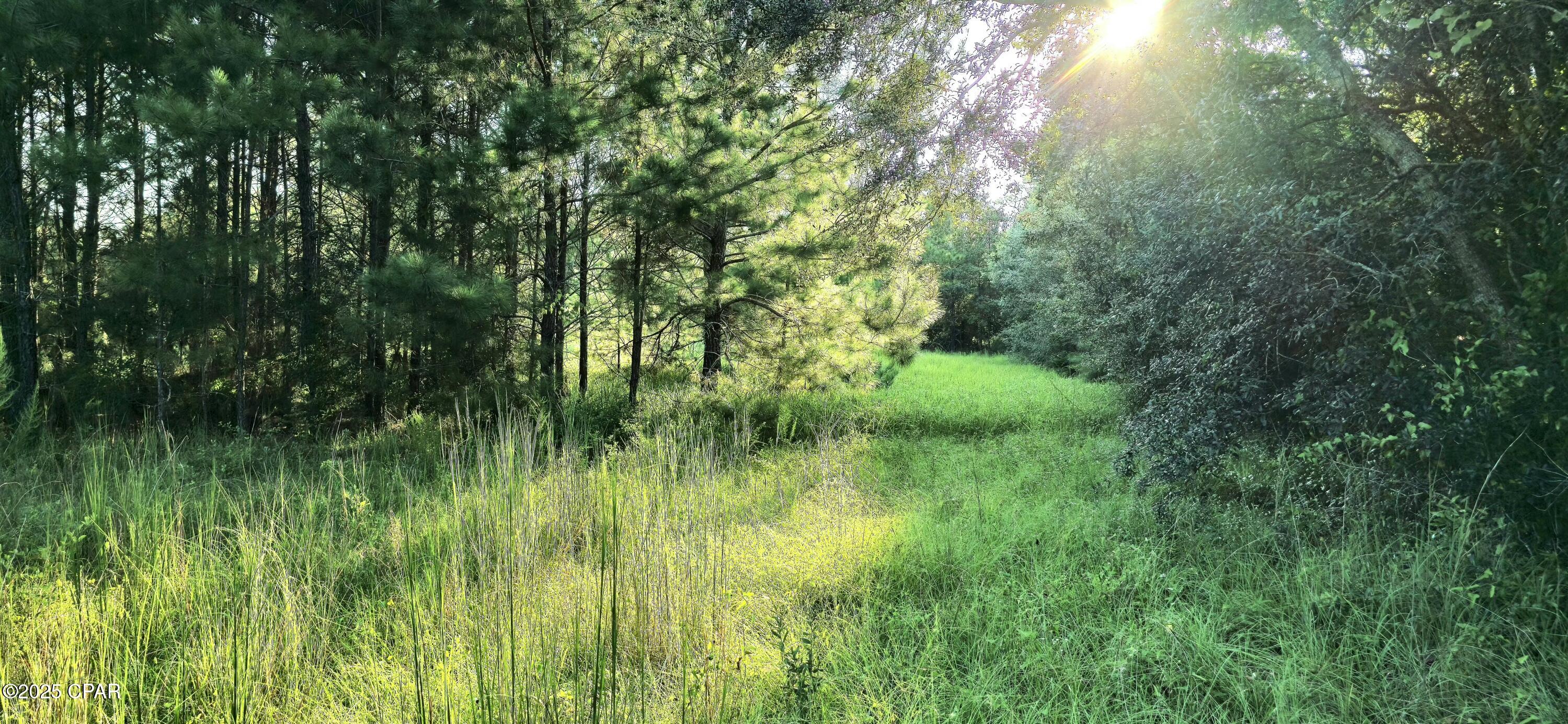 Listing photo id 3 for Parcel B Hwy 177a