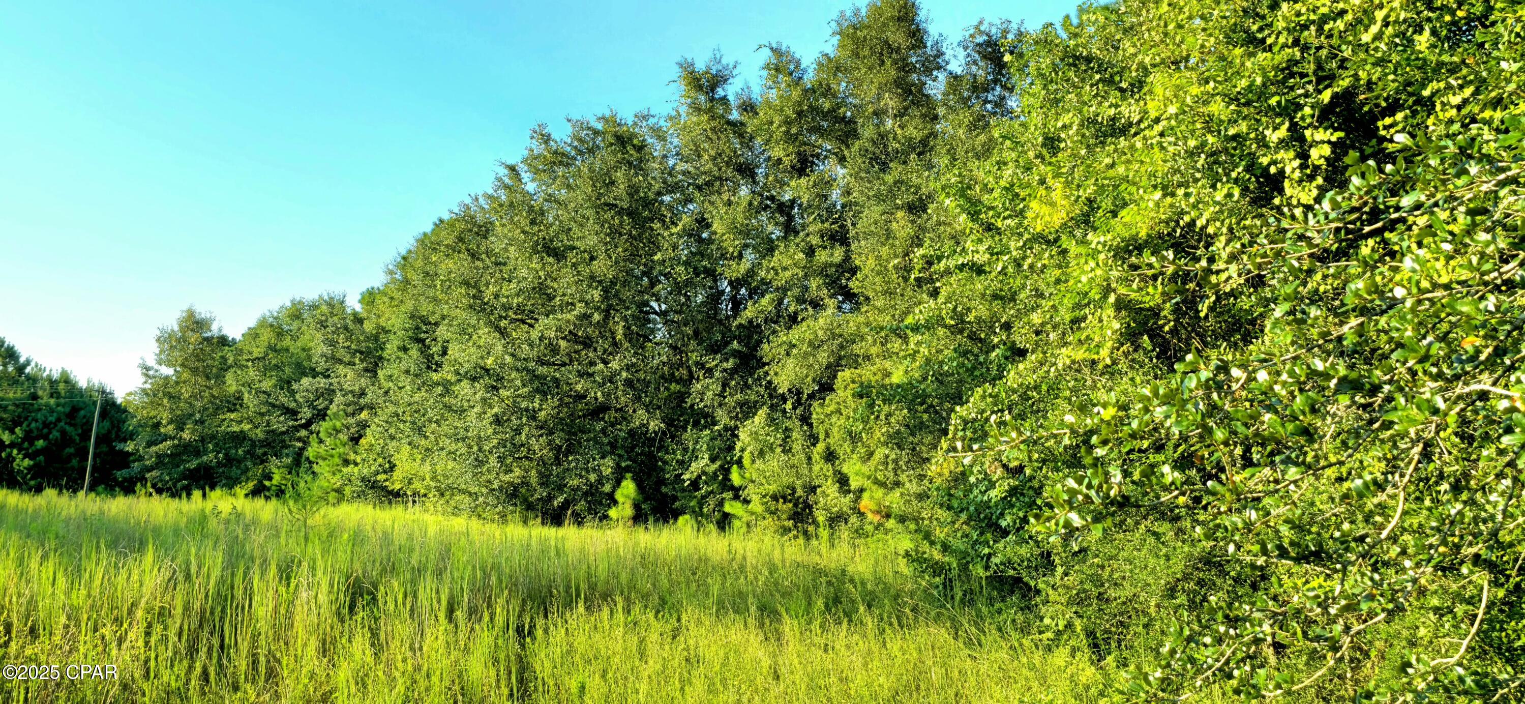 Listing photo id 5 for Parcel B Hwy 177a