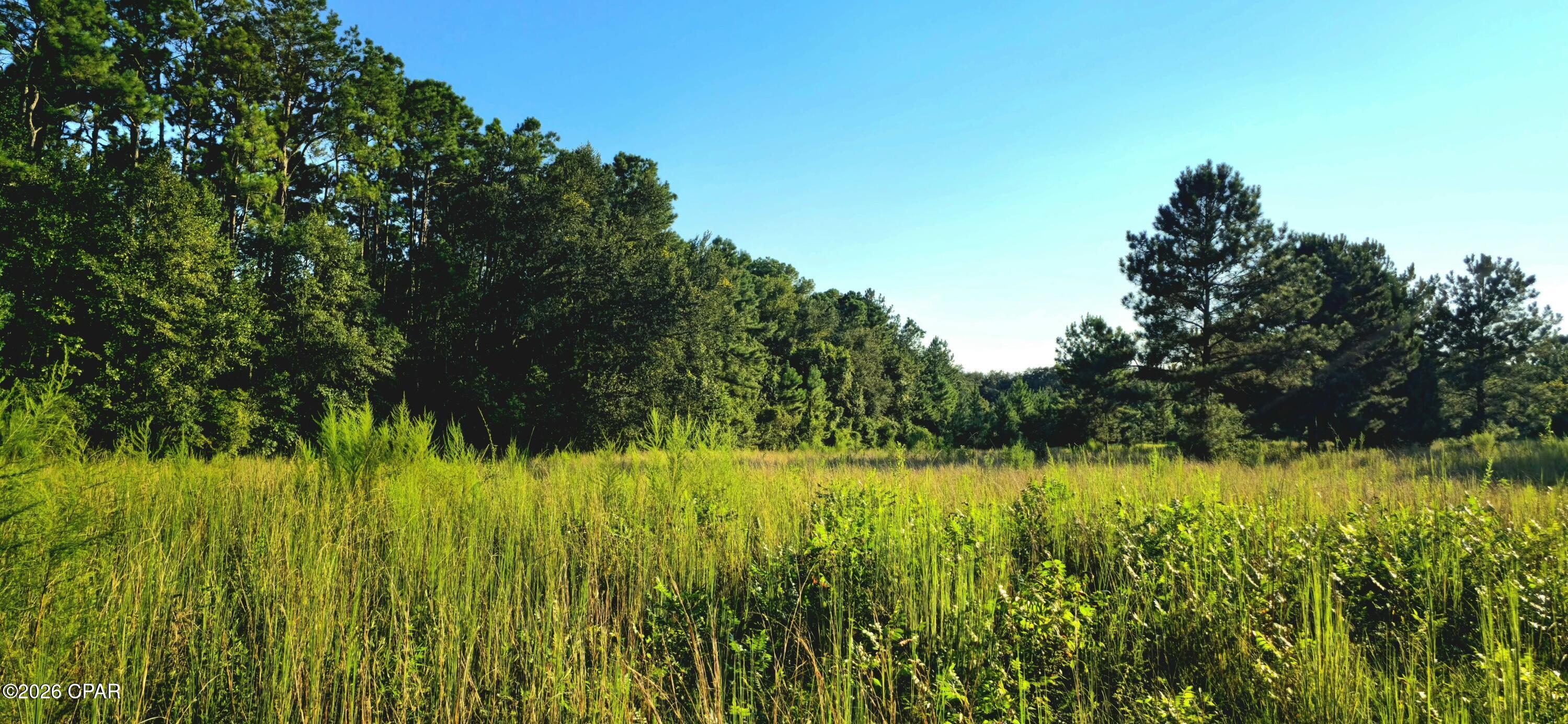 Image 5 For Parcel B Hwy 177a