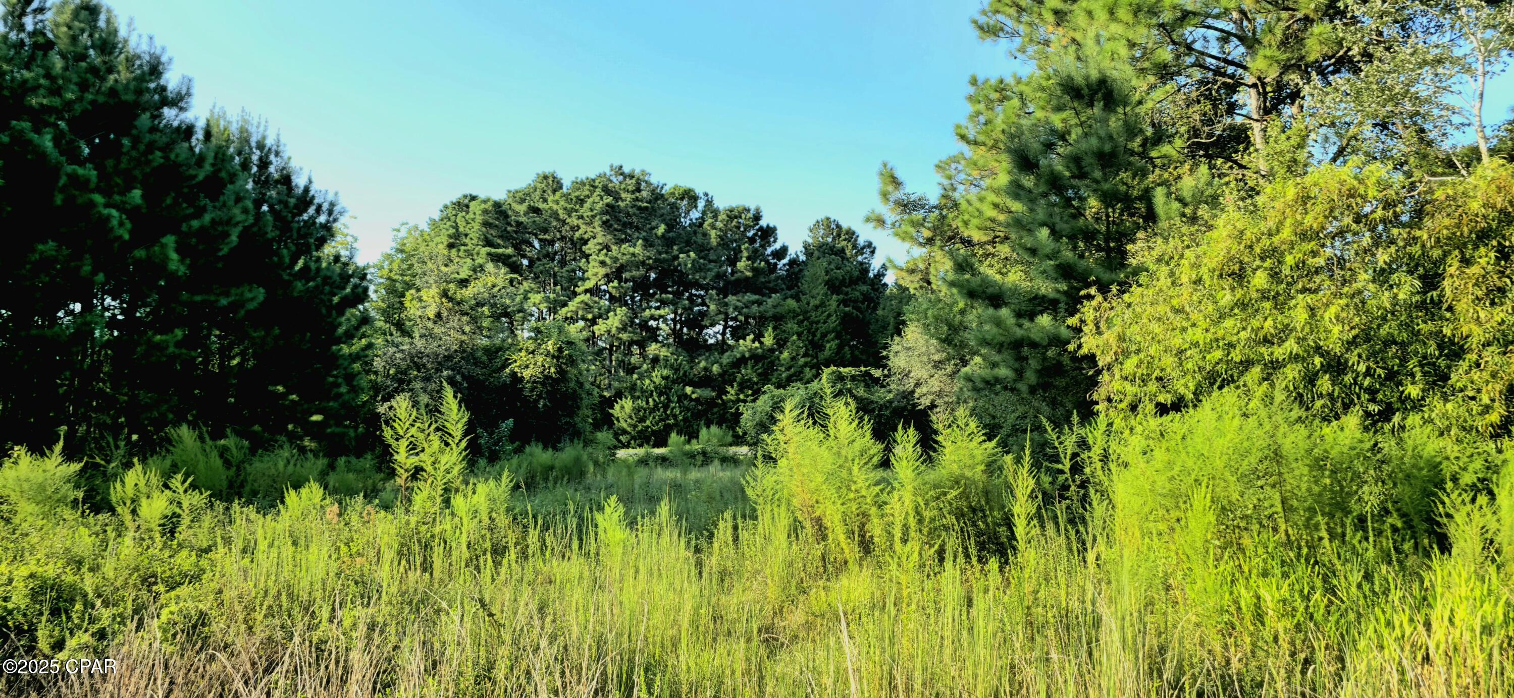 Listing photo id 6 for Parcel B Hwy 177a