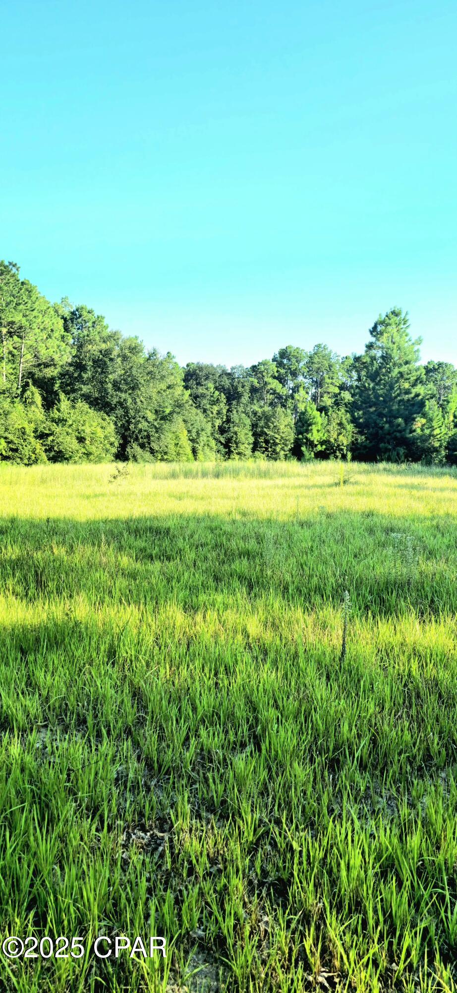 Listing photo id 7 for Parcel B Hwy 177a