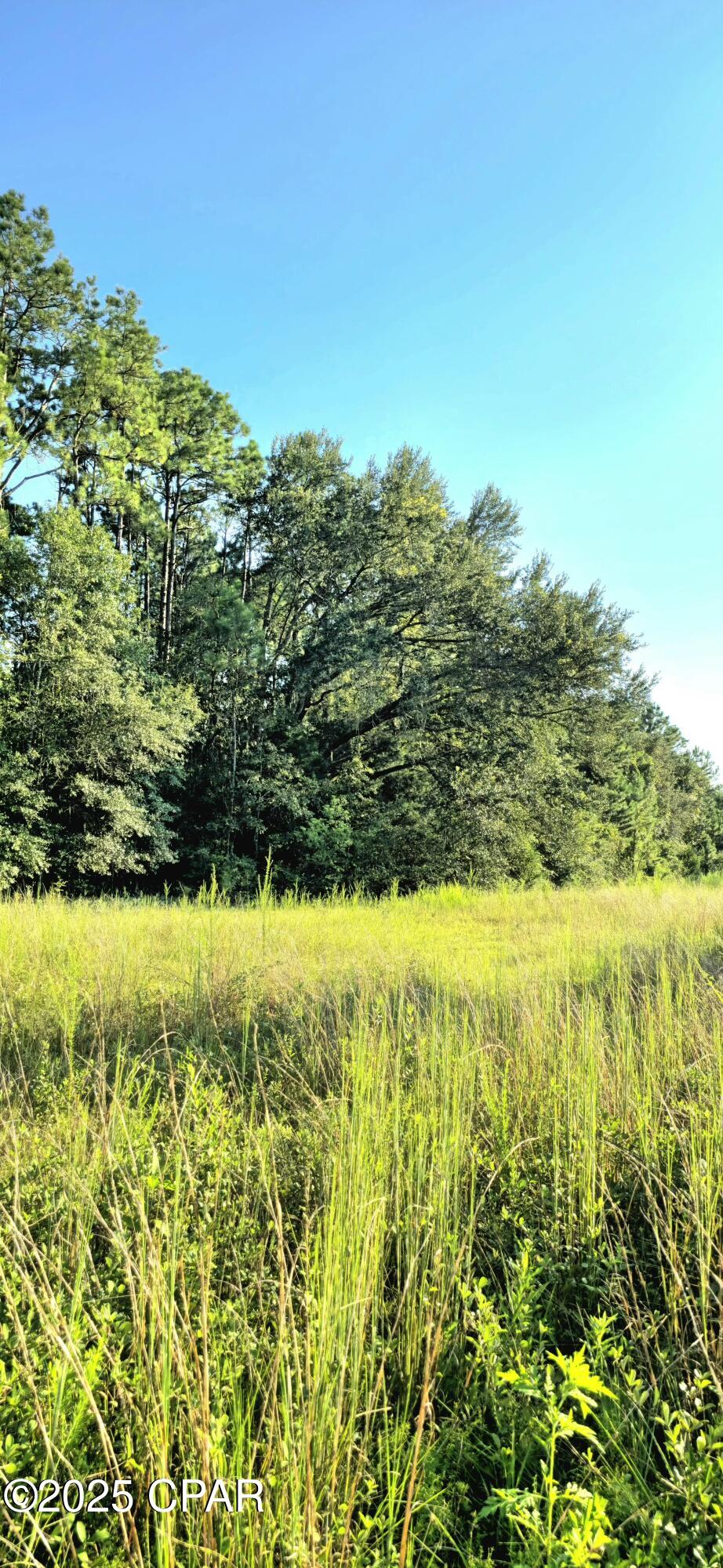 Listing photo id 8 for Parcel B Hwy 177a