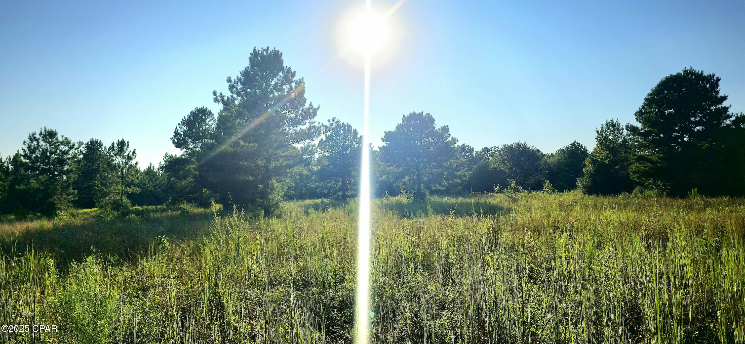 Image 9 For Parcel B Hwy 177a