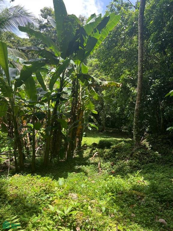 0 bed Land For Sale in Talamanca, Limon - 1