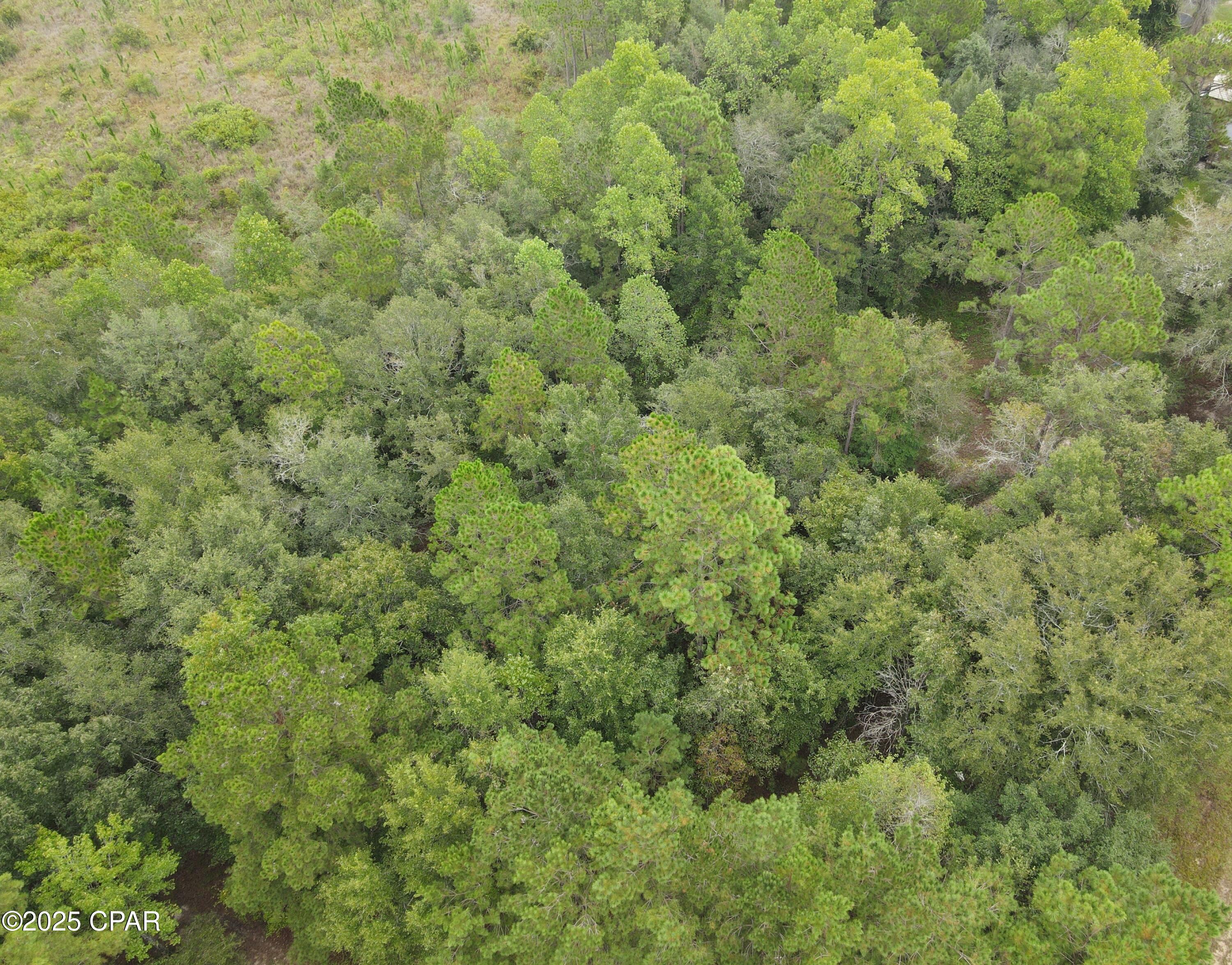 Details for 0 Bryerwood Lane, Bonifay, FL 32425