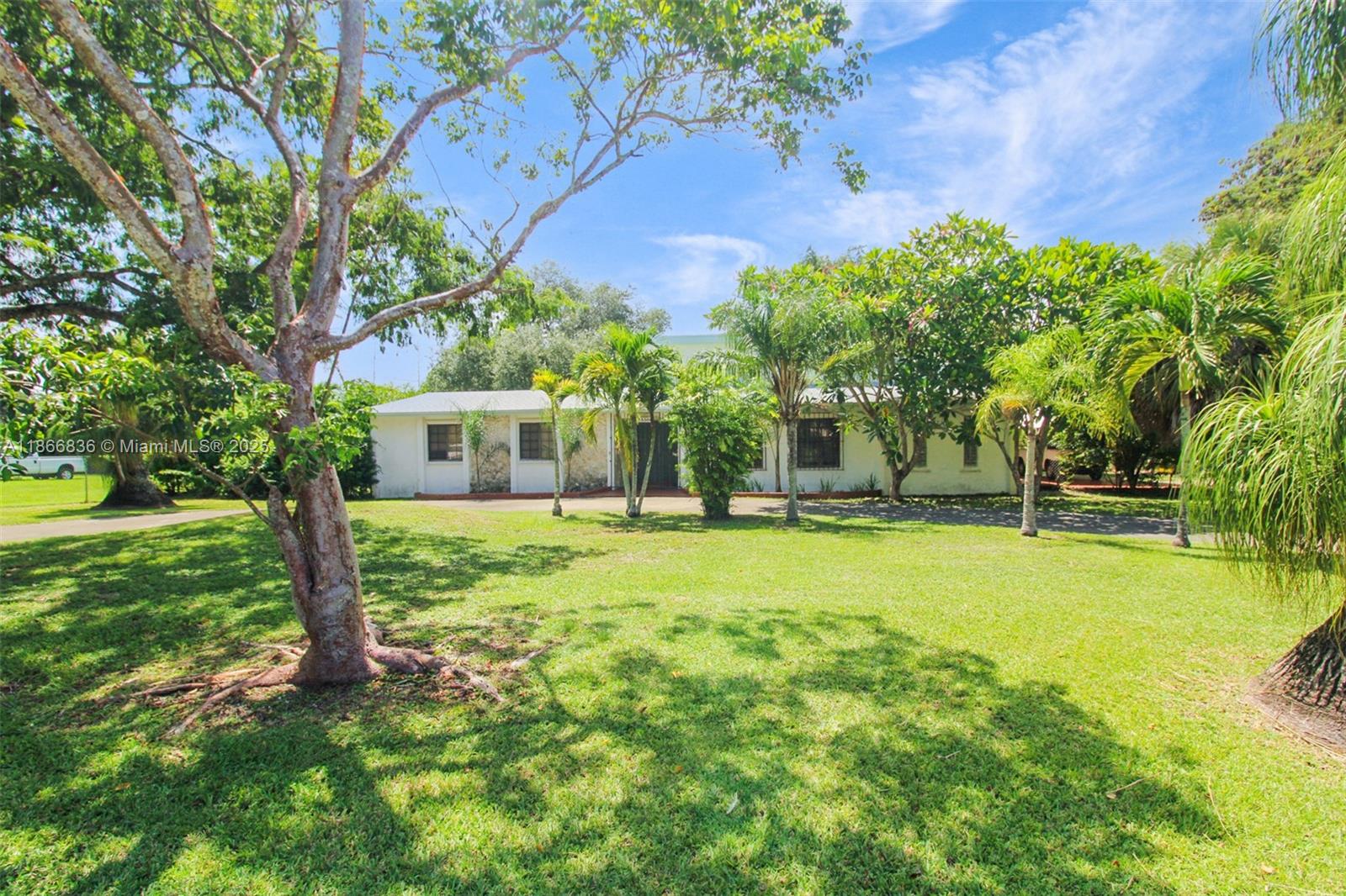 Silver Palm Ests Pt 1