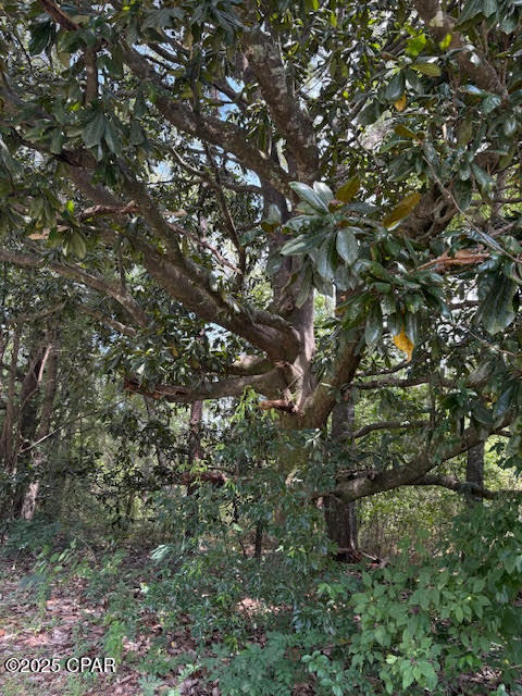 Image 10 For 4600 Pine Grove Church Road