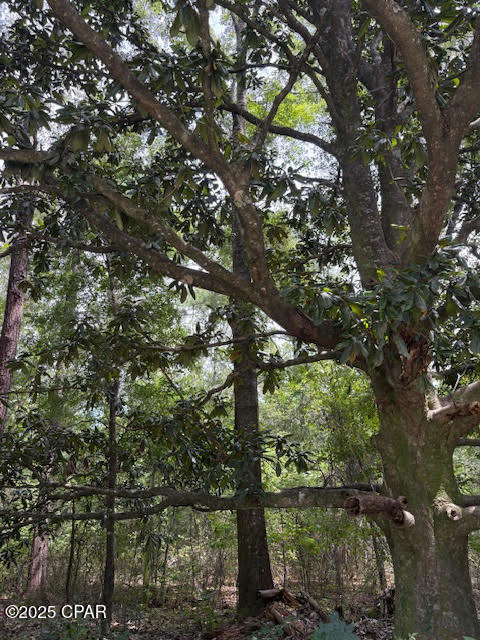 Image 11 For 4600 Pine Grove Church Road