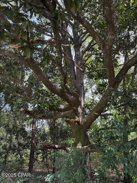 Image 12 For 4600 Pine Grove Church Road