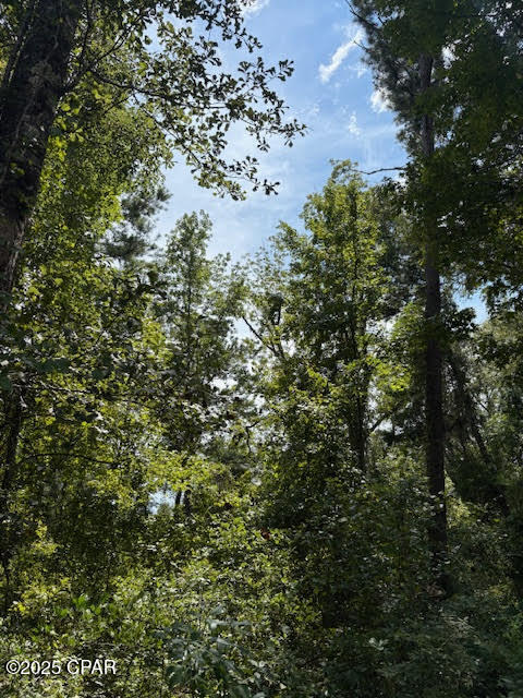 Image 13 For 4600 Pine Grove Church Road