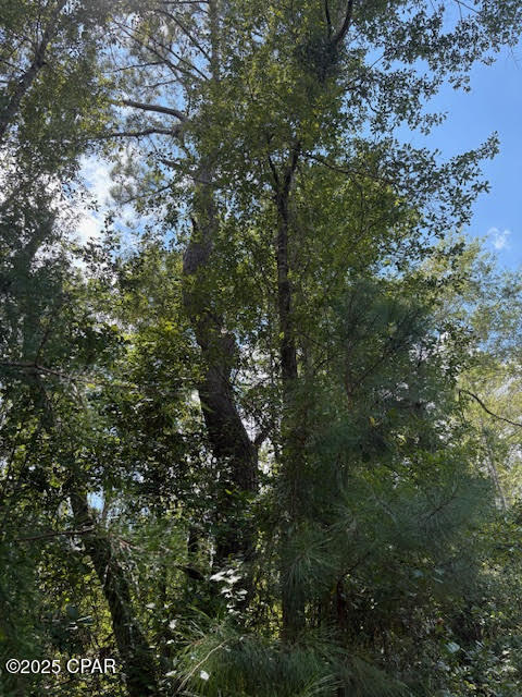 Image 14 For 4600 Pine Grove Church Road