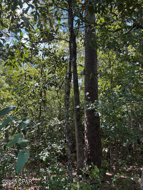 Image 16 For 4600 Pine Grove Church Road