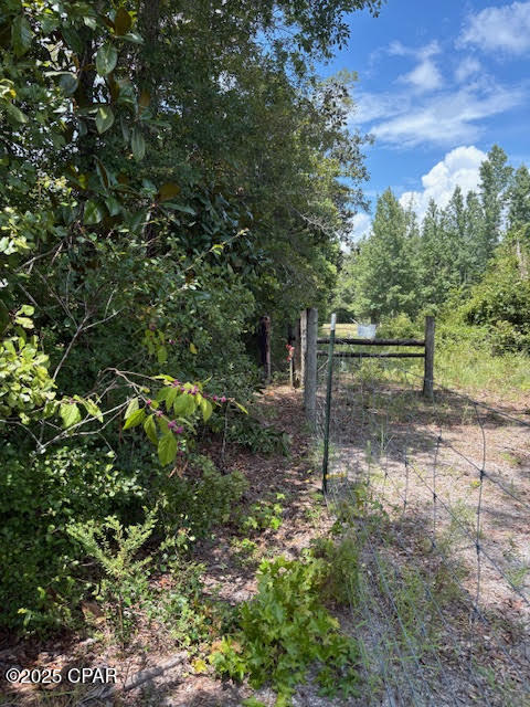 Image 17 For 4600 Pine Grove Church Road