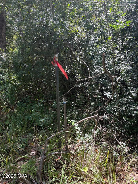 Image 18 For 4600 Pine Grove Church Road