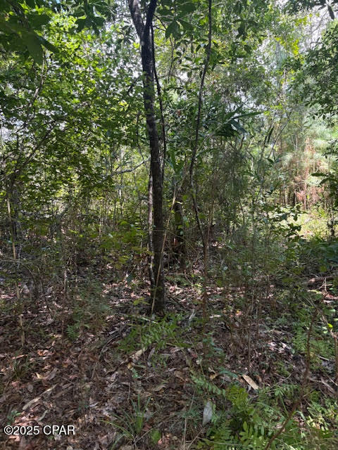 Image 19 For 4600 Pine Grove Church Road