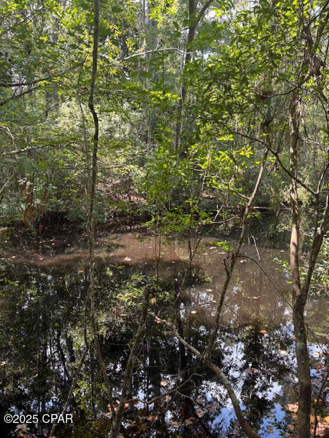 Image 20 For 4600 Pine Grove Church Road