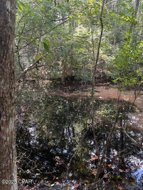 Image 21 For 4600 Pine Grove Church Road