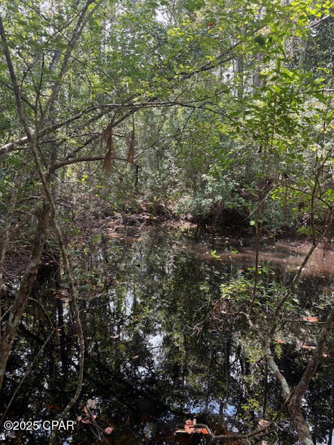 Image 22 For 4600 Pine Grove Church Road