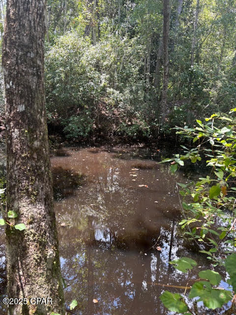 Image 23 For 4600 Pine Grove Church Road