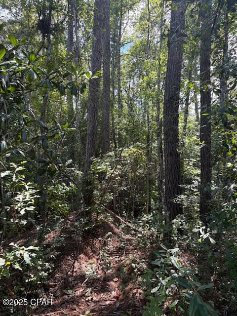 Image 24 For 4600 Pine Grove Church Road