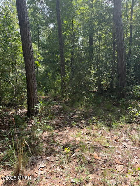 Image 25 For 4600 Pine Grove Church Road