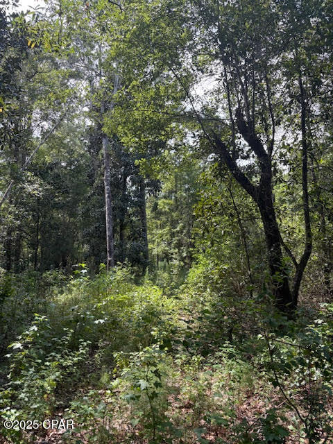 Image 26 For 4600 Pine Grove Church Road