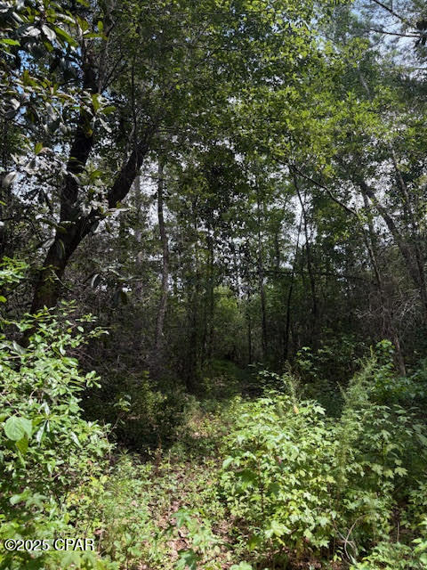 Image 27 For 4600 Pine Grove Church Road