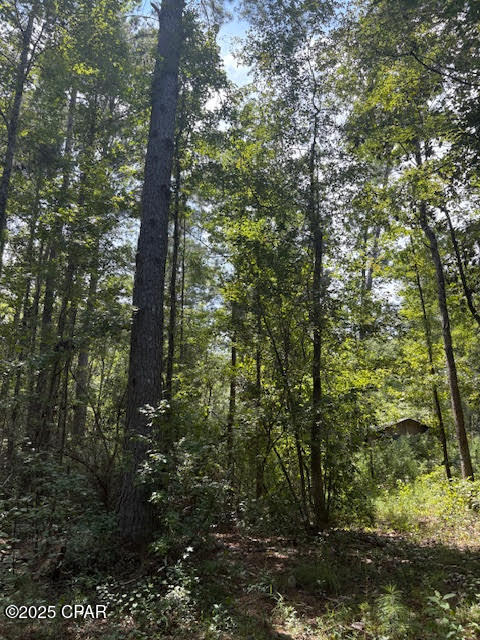 Image 28 For 4600 Pine Grove Church Road