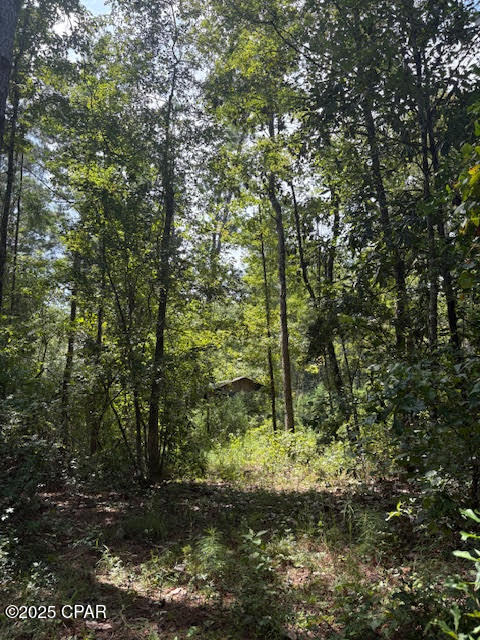 Image 29 For 4600 Pine Grove Church Road