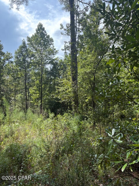 Image 32 For 4600 Pine Grove Church Road