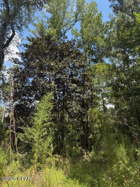 Image 33 For 4600 Pine Grove Church Road