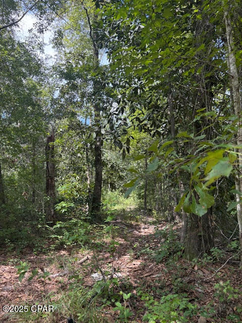 Image 34 For 4600 Pine Grove Church Road