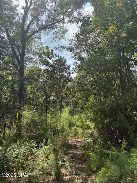 Image 35 For 4600 Pine Grove Church Road