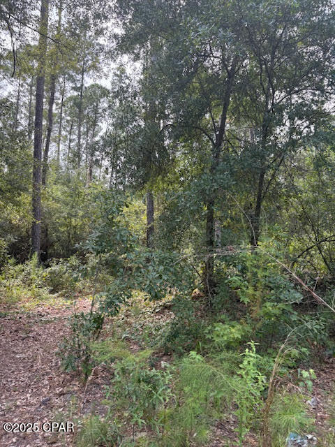 Image 36 For 4600 Pine Grove Church Road