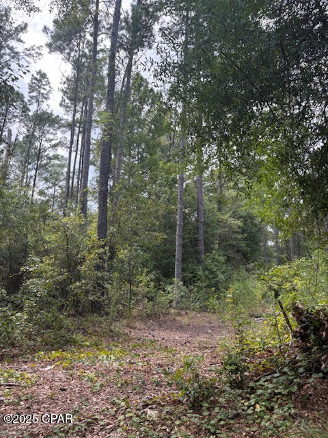 Image 37 For 4600 Pine Grove Church Road