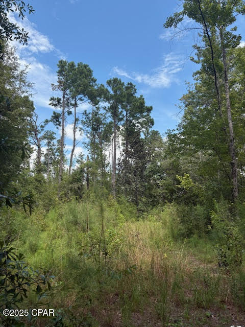 Image 38 For 4600 Pine Grove Church Road