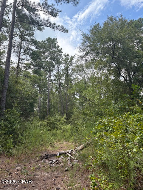 Image 39 For 4600 Pine Grove Church Road