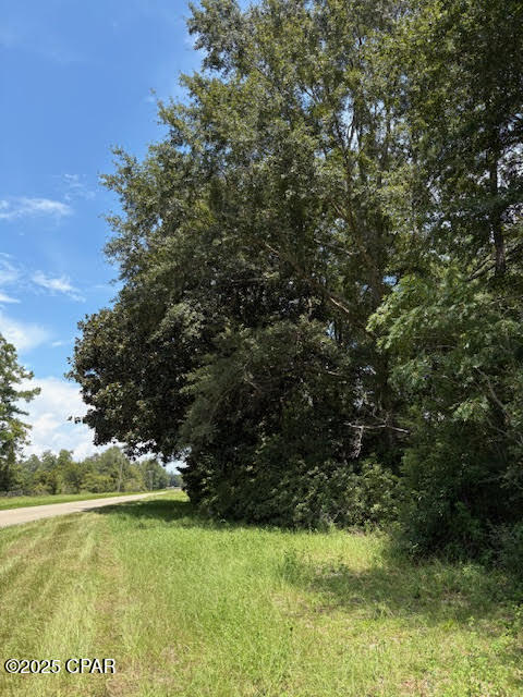 Image 4 For 4600 Pine Grove Church Road