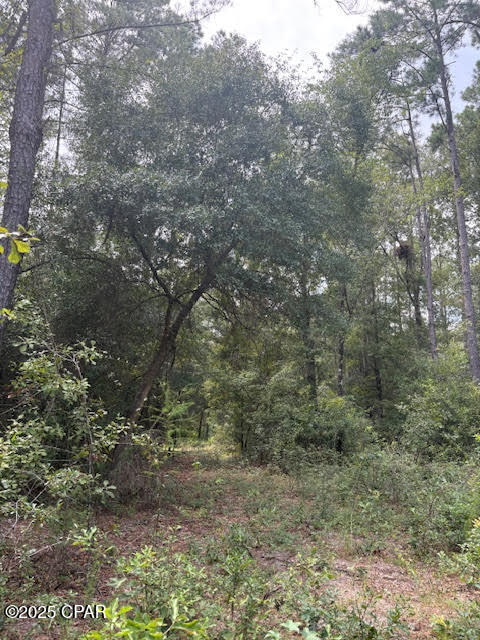 Image 40 For 4600 Pine Grove Church Road