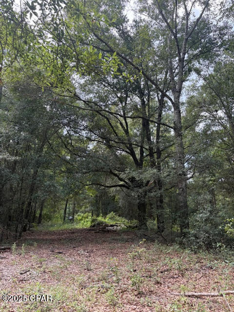 Image 41 For 4600 Pine Grove Church Road