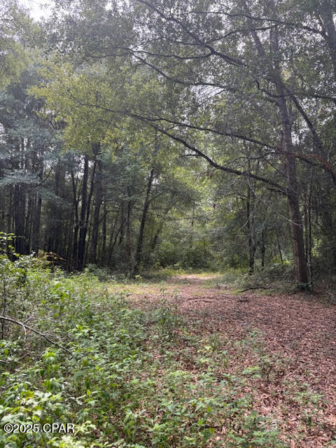 Image 43 For 4600 Pine Grove Church Road