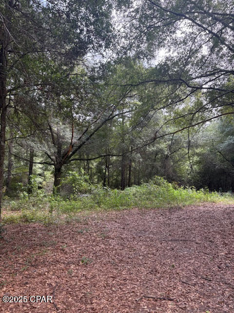 Image 44 For 4600 Pine Grove Church Road