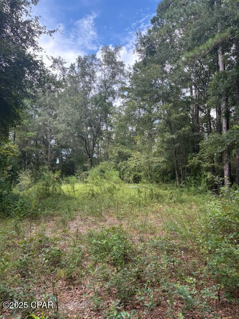 Image 45 For 4600 Pine Grove Church Road