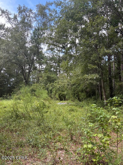 Image 46 For 4600 Pine Grove Church Road